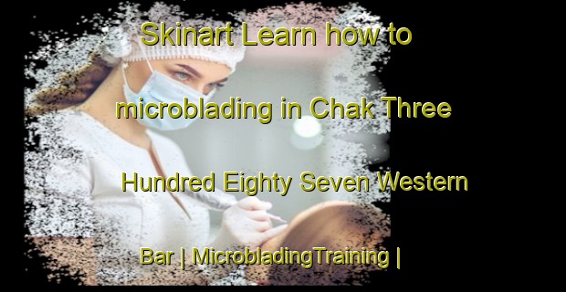Skinart Learn how to microblading in Chak Three Hundred Eighty Seven Western Bar | MicrobladingTraining | MicrobladingClasses | SkinartTraining-Pakistan